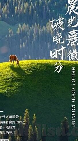 足球加时比分-绿茵烽火，足球加时比分背后的激情与悬念